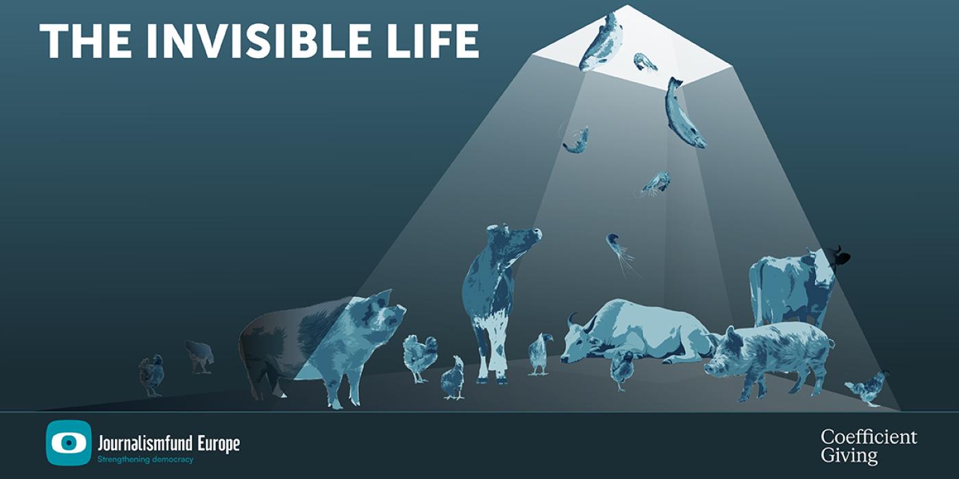 The Invisible Life